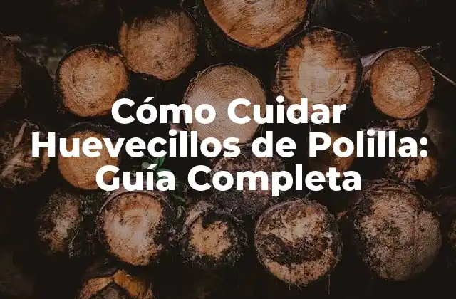 Cómo Cuidar Huevecillos de Polilla: Guía Completa