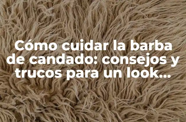 Cómo Cuidar la Barba de Candado: Consejos y Trucos para un Look Perfecto