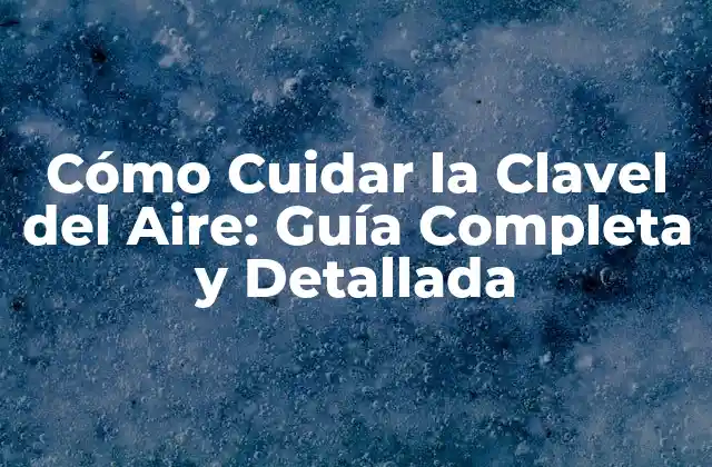 Cómo Cuidar la Clavel Del Aire: Guía Completa y Detallada