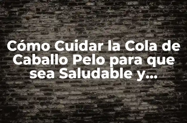 Cómo Cuidar la Cola de Caballo Pelo para que Sea Saludable y Brillante