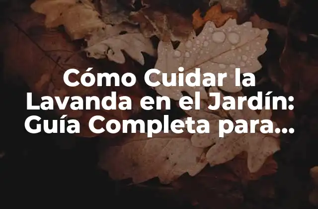 Cómo Cuidar la Lavanda en el Jardín: Guía Completa para Cultivar Esta Hermosa Planta