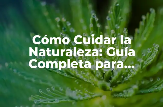 Cómo Cuidar la Naturaleza: Guía Completa para Proteger el Medio Ambiente