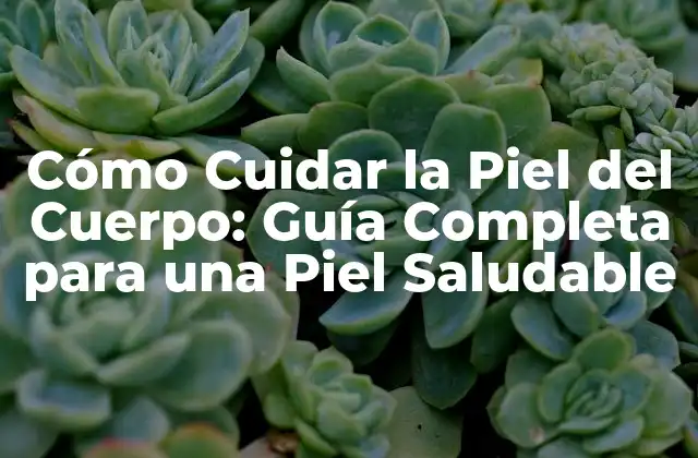 Cómo Cuidar la Piel Del Cuerpo: Guía Completa para una Piel Saludable