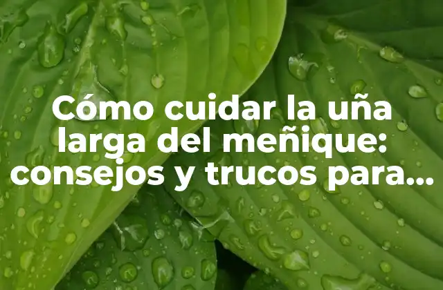Cómo Cuidar la Uña Larga Del Meñique: Consejos y Trucos para una Uña Fuerte y Hermosa