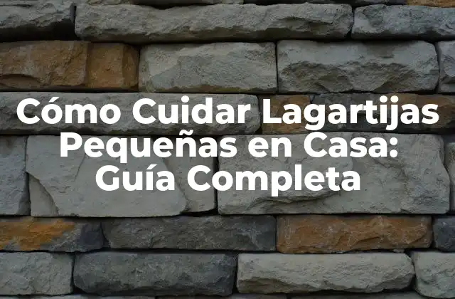 Cómo Cuidar Lagartijas Pequeñas en Casa: Guía Completa