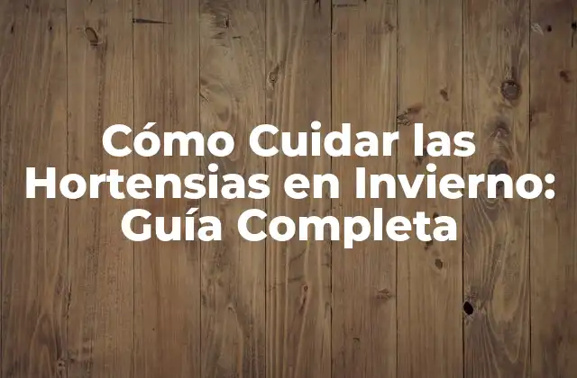 Preparación para el Invierno: Lo que Debes Saber