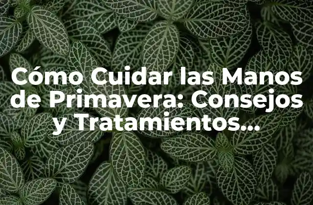 Cómo Cuidar las Manos de Primavera: Consejos y Tratamientos Naturales