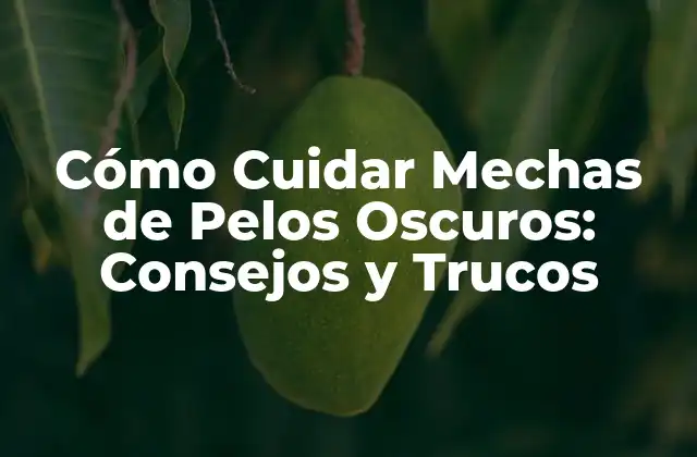 Cómo Cuidar Mechas de Pelos Oscuros: Consejos y Trucos