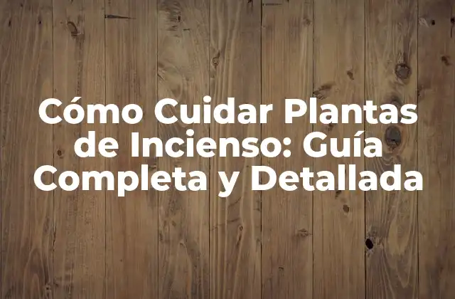Cómo Cuidar Plantas de Incienso: Guía Completa y Detallada