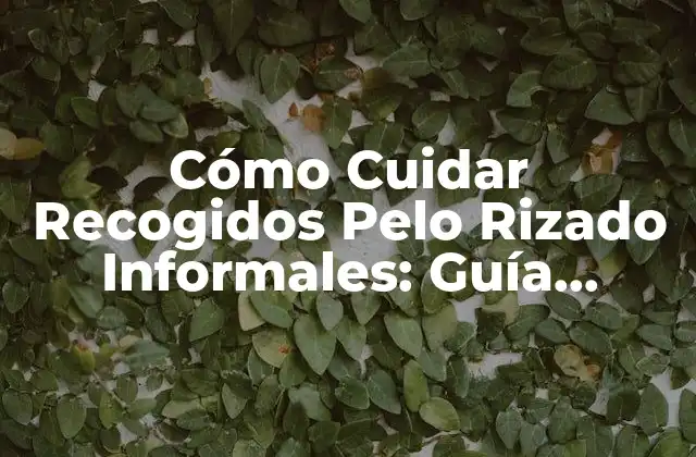 Cómo Cuidar Recogidos Pelo Rizado Informales: Guía Completa 2 Características de los Recogidos Pelo Rizado Informales