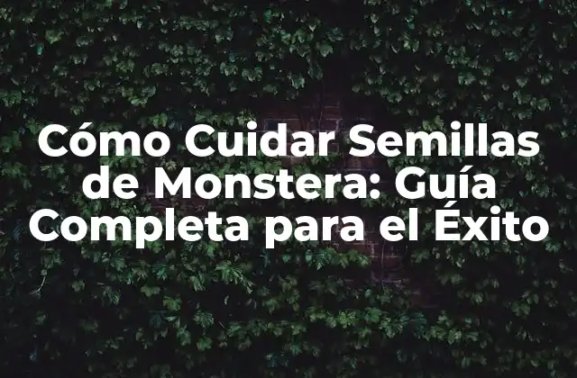 Cómo Cuidar Semillas de Monstera: Guía Completa para el Éxito 2 ¿Cómo Seleccionar las Mejores Semillas de Monstera?