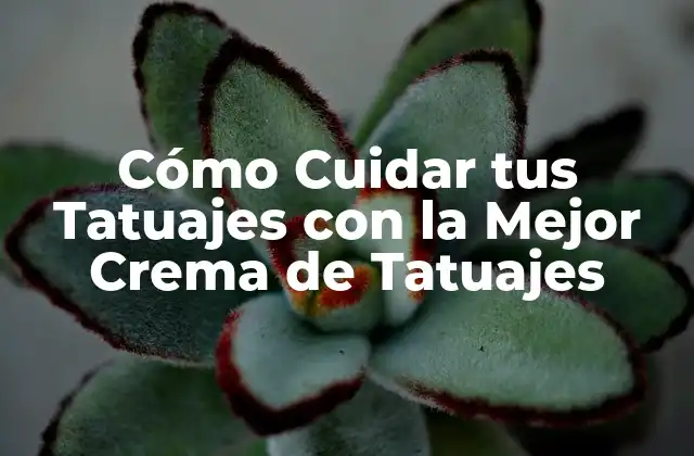Cómo Cuidar Tus Tatuajes con la Mejor Crema de Tatuajes