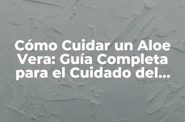 Cómo Cuidar un Aloe Vera: Guía Completa para el Cuidado Del Aloe