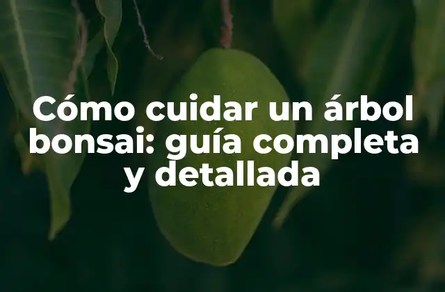 Cómo Cuidar un Árbol Bonsai: Guía Completa y Detallada