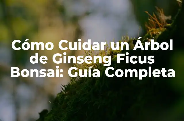 Cómo Cuidar un Árbol de Ginseng Ficus Bonsai: Guía Completa