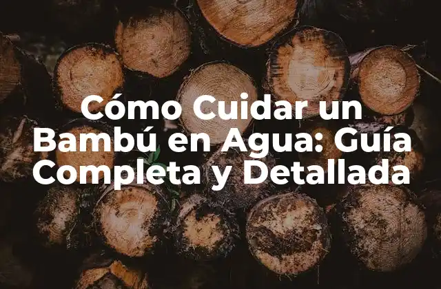 Cómo Cuidar un Bambú en Agua: Guía Completa y Detallada
