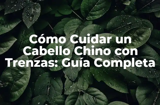 Cómo Cuidar un Cabello Chino con Trenzas: Guía Completa