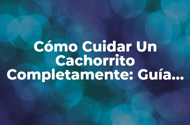 Cómo Cuidar un Cachorrito Completamente: Guía Definitiva