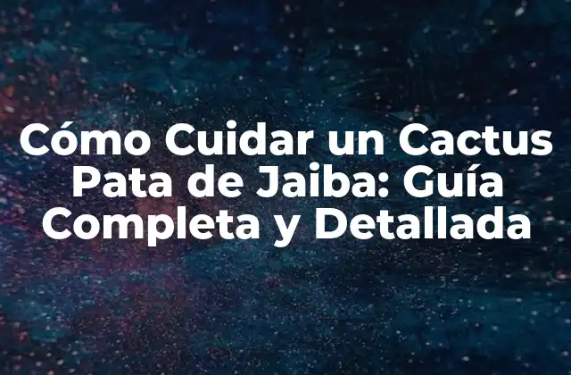Cómo Cuidar un Cactus Pata de Jaiba: Guía Completa y Detallada