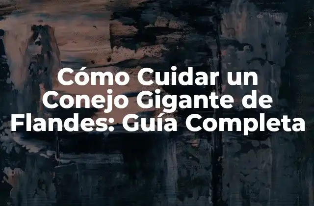 Cómo Cuidar un Conejo Gigante de Flandes: Guía Completa