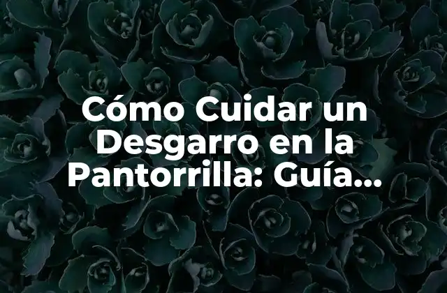 Cómo Cuidar un Desgarro en la Pantorrilla: Guía Completa para una Recuperación Rápida