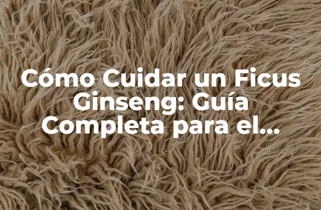 Cómo Cuidar un Ficus Ginseng: Guía Completa para el Cuidado y Mantenimiento