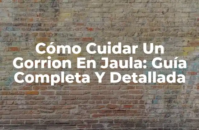 Cómo Cuidar un Gorrion en Jaula: Guía Completa y Detallada