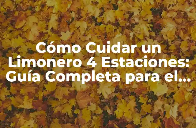 Cómo Cuidar un Limonero 4 Estaciones: Guía Completa para el Éxito