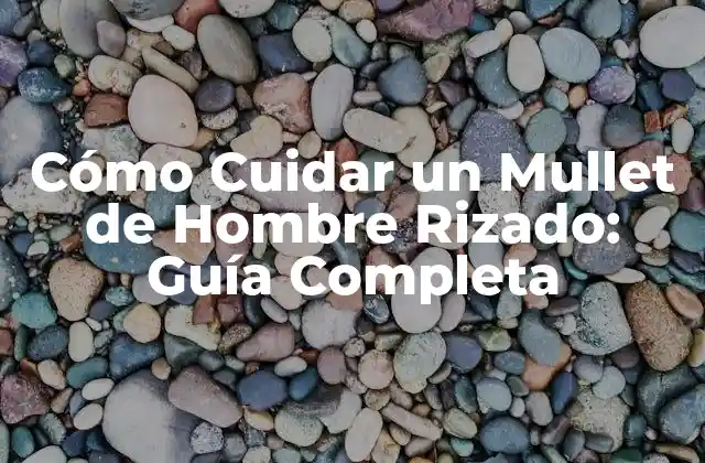 Cómo Cuidar un Mullet de Hombre Rizado: Guía Completa