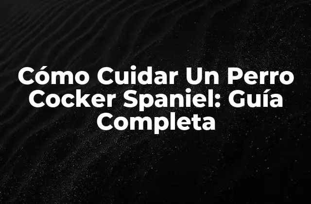 Cómo Cuidar un Perro Cocker Spaniel: Guía Completa