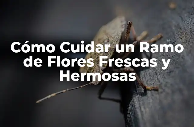 Cómo Cuidar un Ramo de Flores Frescas y Hermosas