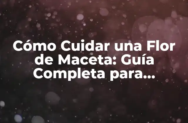 Cómo Cuidar una Flor de Maceta: Guía Completa para Principiantes