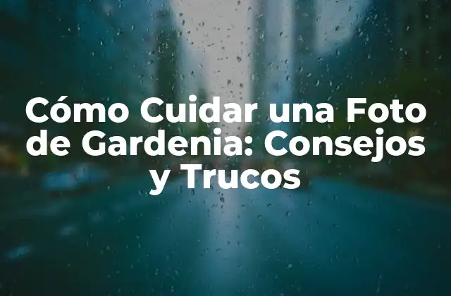 Cómo Cuidar una Foto de Gardenia: Consejos y Trucos