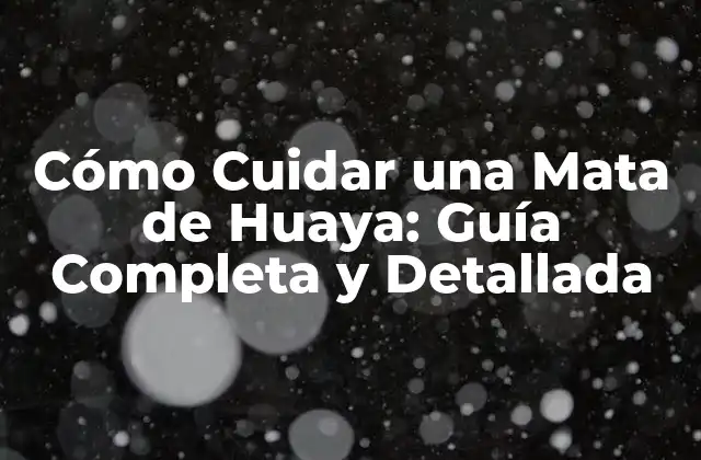 Cómo Cuidar una Mata de Huaya: Guía Completa y Detallada