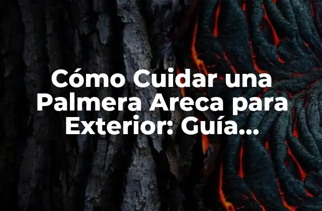 Cómo Cuidar una Palmera Areca para Exterior: Guía Completa 2 Cómo Plantar una Palmera Areca para Exterior
