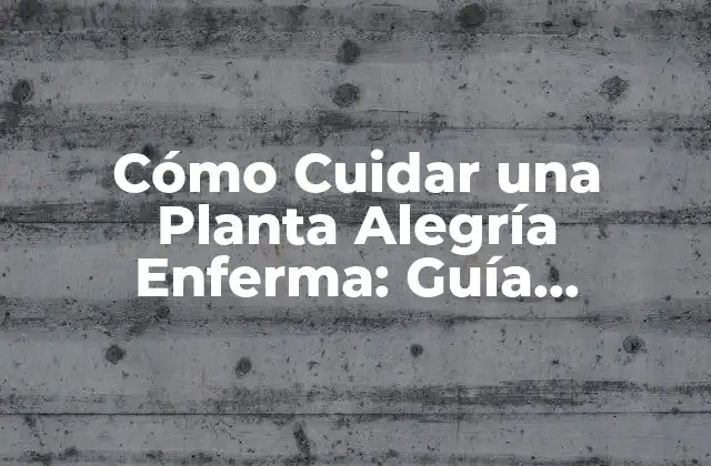 Cómo Cuidar una Planta Alegría Enferma: Guía Completa para Revitalizar Tu Planta
