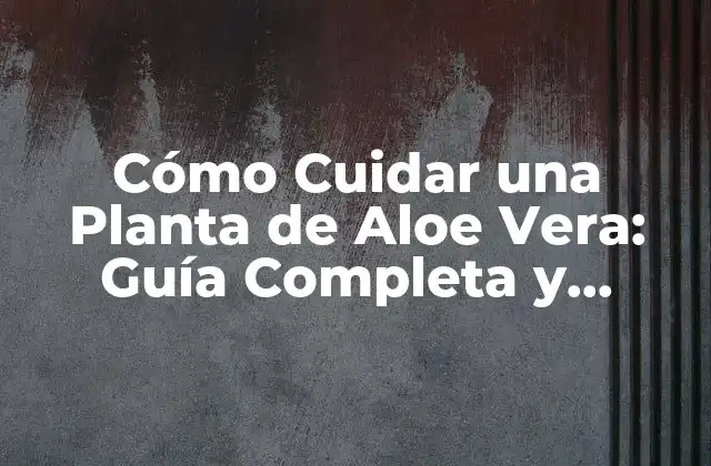 Cómo Cuidar una Planta de Aloe Vera: Guía Completa y Detallada 2 Selección de la Variedad Adecuada de Aloe Vera