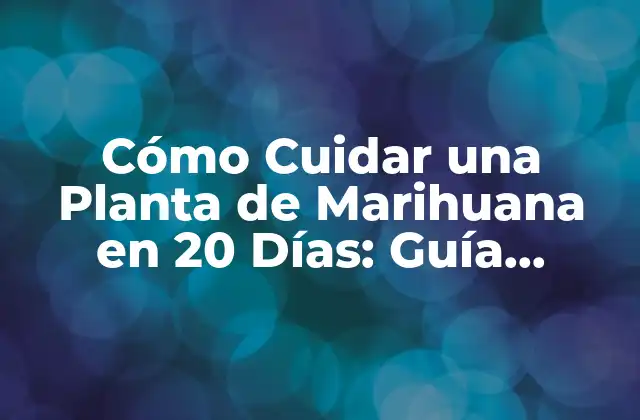 Cómo Cuidar una Planta de Marihuana en 20 Días: Guía Completa para Principiantes
