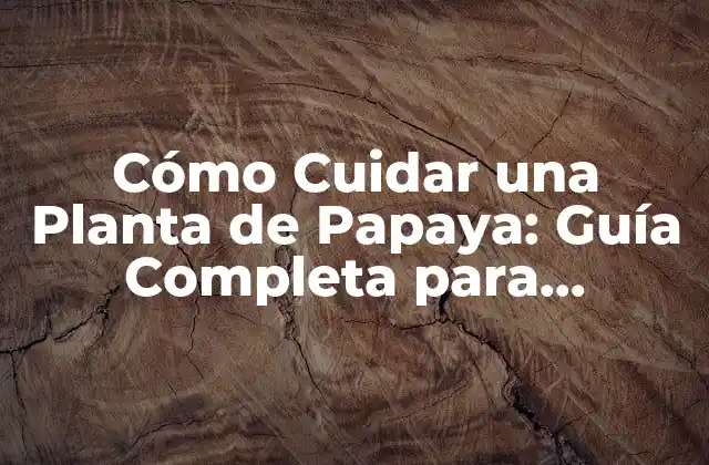 Características y Tipos de Plantas de Papaya