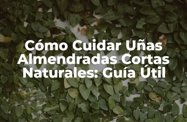 Cómo Cuidar Uñas Almendradas Cortas Naturales: Guía Útil