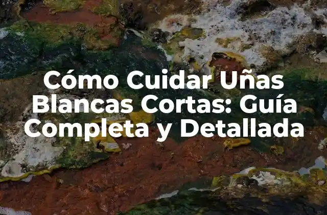 Cómo Cuidar Uñas Blancas Cortas: Guía Completa y Detallada