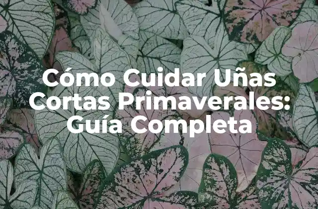 Cómo Cuidar Uñas Cortas Primaverales: Guía Completa 2 Ventajas de las Uñas Cortas Primaverales