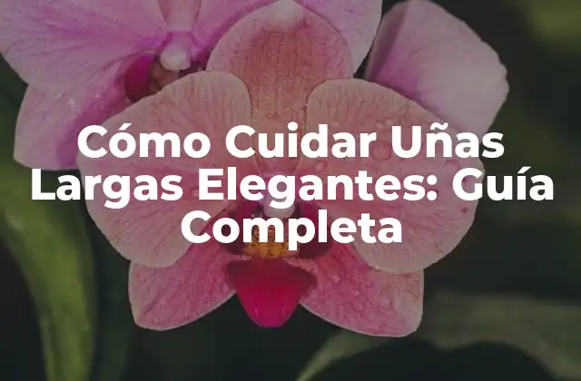 Cómo Cuidar Uñas Largas Elegantes: Guía Completa