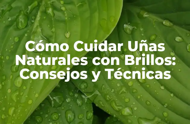 Cómo Cuidar Uñas Naturales con Brillos: Consejos y Técnicas