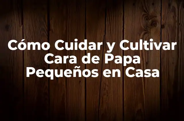 Cómo Cuidar y Cultivar Cara de Papa Pequeños en Casa