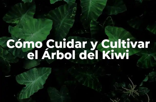 Cómo Cuidar y Cultivar el Árbol Del Kiwi