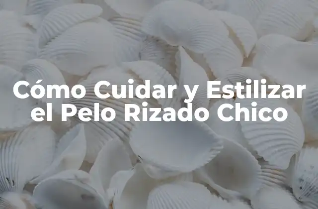 Cómo Cuidar y Estilizar el Pelo Rizado Chico 2 Características del Pelo Rizado Chico