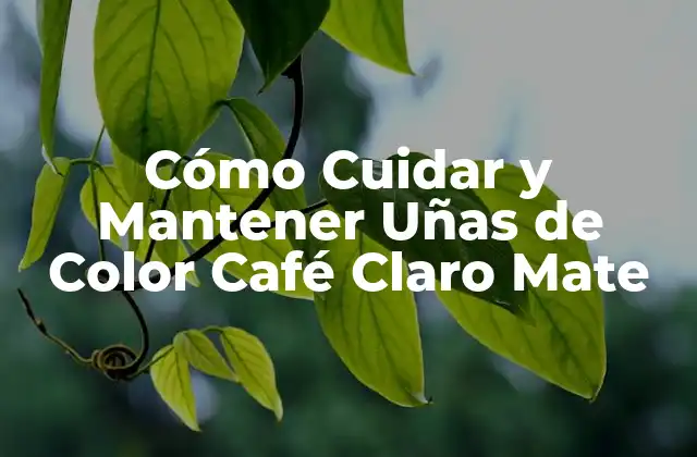 Cómo Cuidar y Mantener Uñas de Color Café Claro Mate