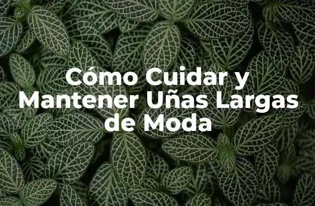 Cómo Cuidar y Mantener Uñas Largas de Moda