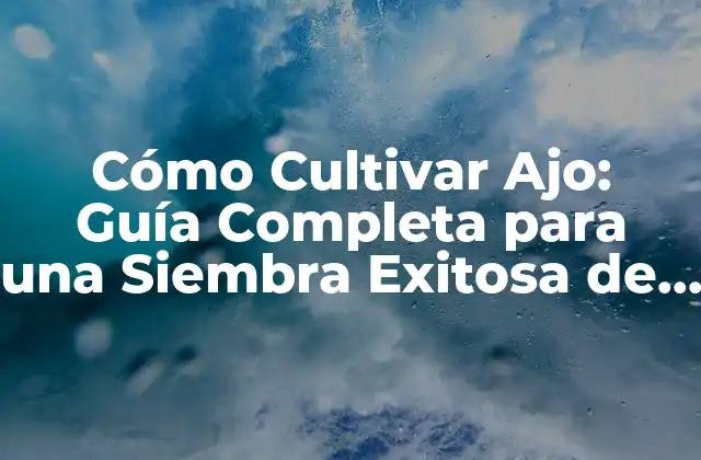 Cómo Cultivar Ajo: Guía Completa para una Siembra Exitosa de Ajo